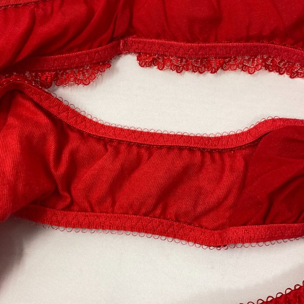 Agent Provocateur Felinda Red Silk Brief AP4 Large - Picture 11 of 11